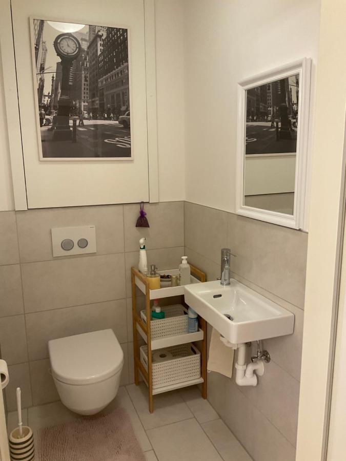 Ferienwohnung Danubia Linz Buitenkant foto